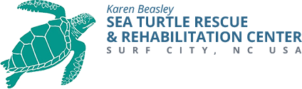 Sea Turtle Rescue & Rehabilitation Center 